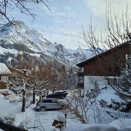 Apartment Chalet Akalei C6 아파트 아델보덴